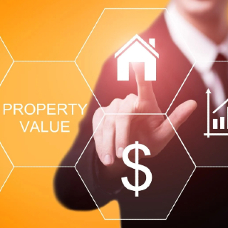 Valuation process with experts